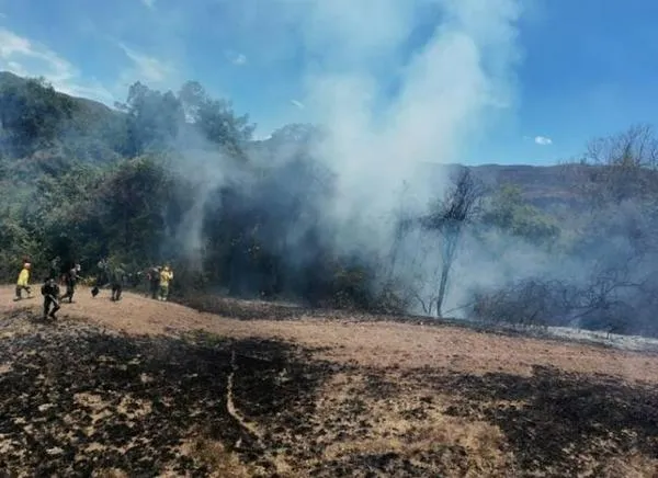 Esta es la línea para denunciar a los pirómanos en Ibagué