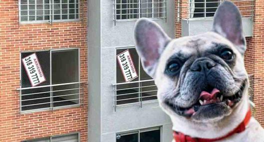 tarjeta noticia