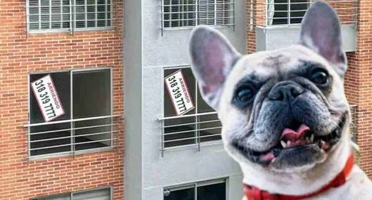 tarjeta noticia