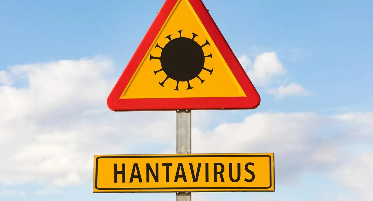 Reportan caso de Hantavirus en España: aislaron al paciente