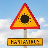Reportan caso de Hantavirus en España: aislaron al paciente