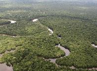Petro declara la Amazonía zona protegida para minería y petróleo