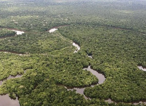 Petro declara la Amazonía zona protegida para minería y petróleo