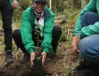 Bogotá celebra sus 488 años con más de 11 millones de m² en restauración ecológica 