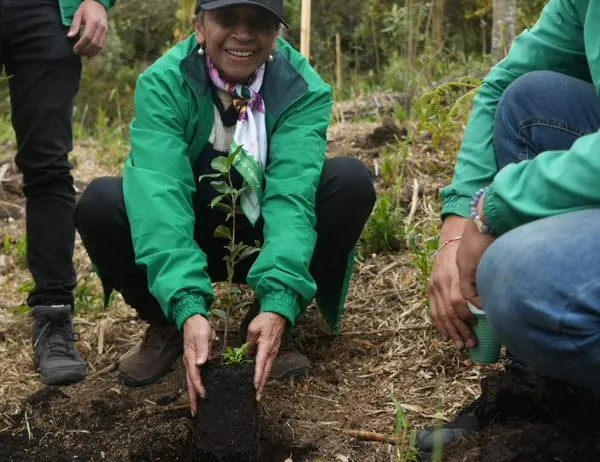 Bogotá celebra sus 488 años con más de 11 millones de m² en restauración ecológica 