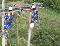 Estos son los sectores de Usaquén en Bogotá con cortes de luz este sábado 8 de agosto ¡Clic aquí!  