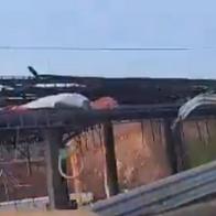 Detalles del atentado en peaje nuevo, en Cauca; ¿de quién era carro que explotó?