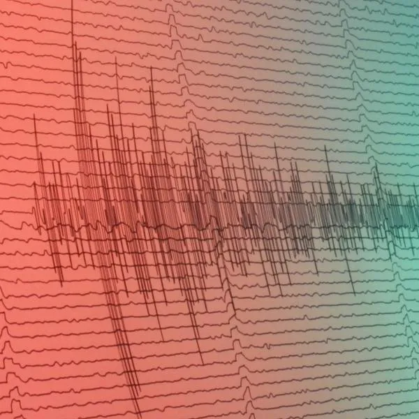 Conozca los detalles entregados por el Servicio Geológico Colombiano sobre el sismo de 7.4, su epicentro en Chocó y el fenómeno del "efecto de sitio".