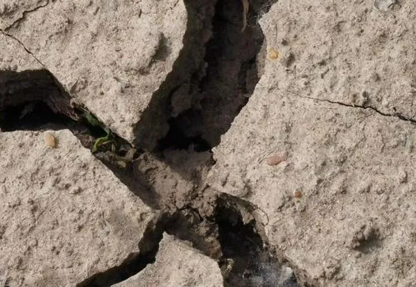 Sismo en Cali: ¿cómo reportar daños o situaciones de riesgo?