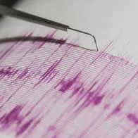 Tembló nuevamente en epicentro del terremoto de 7,4: este es el reporte