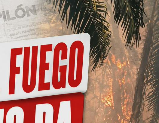tarjeta noticia