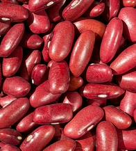 ¿Por qué comer fríjoles? Beneficios y forma correcta de cocinarlos