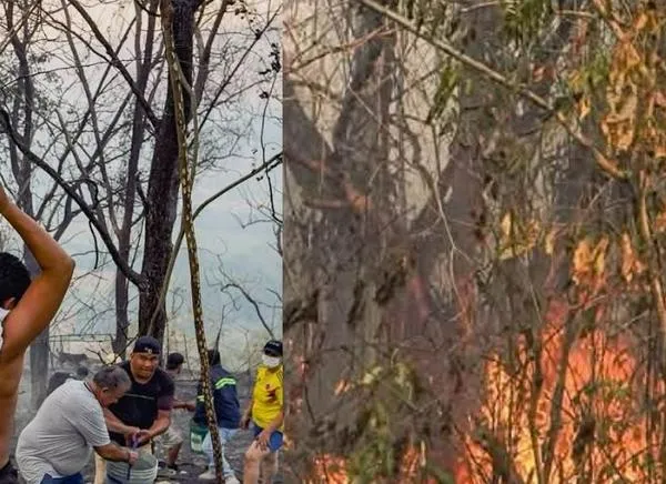 Desmienten la muerte de mujer y su hija por incendio en San Luis