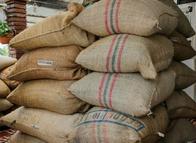 Más de 1.000 contenedores de café están represados tras el sismo