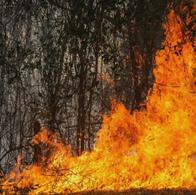 Tolima enfrenta 36 incendios forestales activos en 20 municipios
