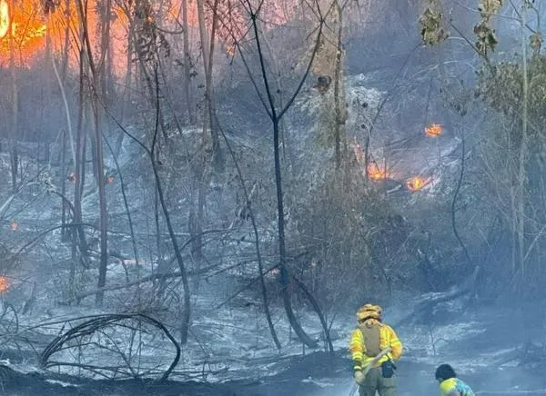 Ibagué envió bomberos y máquinas para atender incendios en San Luis