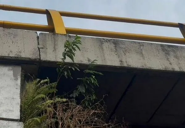 ¿Hay riesgo en el puente de la Carrera 39 con Autopista? Esto dicen las autoridades