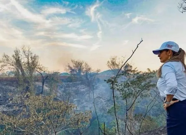 San Luis enfrenta la mayor tragedia ambiental de su historia