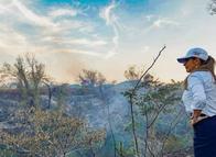 San Luis enfrenta la mayor tragedia ambiental de su historia
