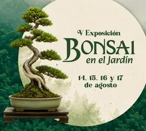 imagen nota