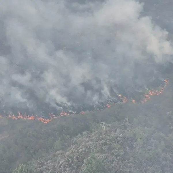 “El apoyo aéreo es lo que nos está haciendo falta”: el fuego no da tregua en el Cesar