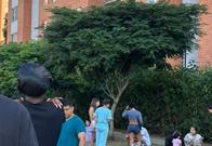 Sismo en Cali: ¿cómo saber si una vivienda es segura después de un temblor?