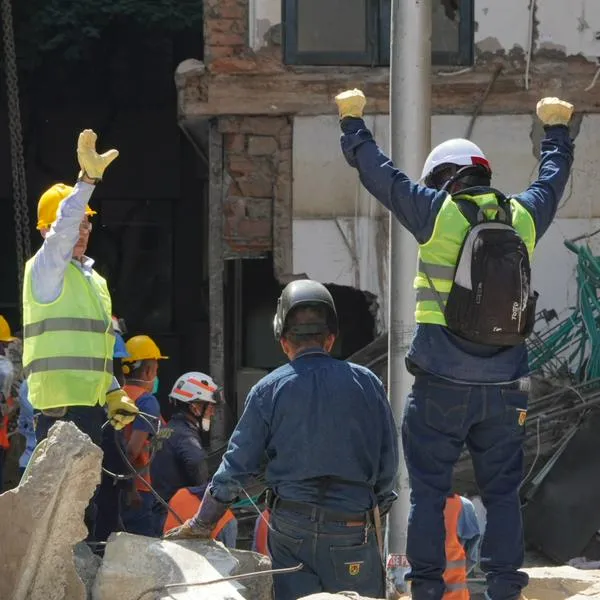 Por qué piden silencio en terremotos: zonas de destrucción para rescate