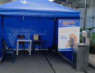 ¡No dejes pasar esta oportunidad! Vacuna gratis contra la rabia para perros y gatos en ExpoPet del 13 al 17 de agosto 