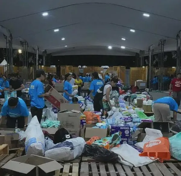 ¿Cómo ayudar a animales afectados por terremoto? Centros de acopio y las donaciones que necesitan