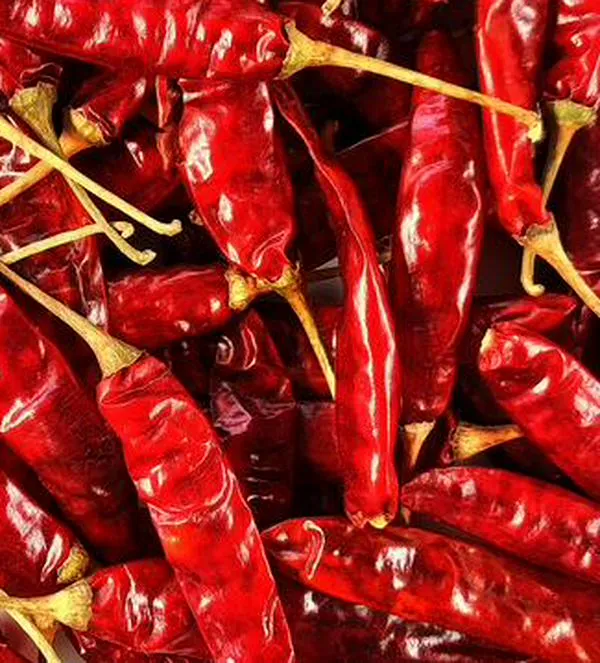 El calor extremo acecha a la capital del chile rojo de Pakistán