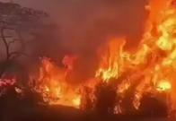 Tolima en emergencia máxima: declaran calamidad pública ante incendios