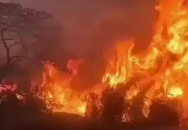 Tolima en emergencia máxima: declaran calamidad pública ante incendios