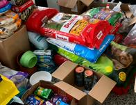 Secretaría de Salud entrega recomendaciones para donar alimentos, agua e insumos para animales de compañía  