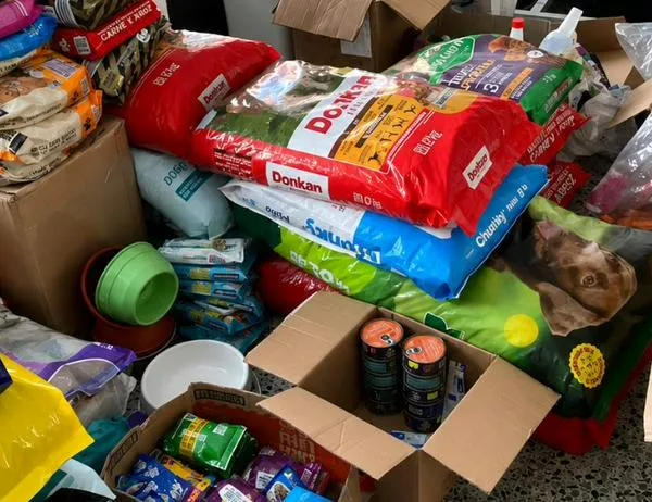 Secretaría de Salud entrega recomendaciones para donar alimentos, agua e insumos para animales de compañía  