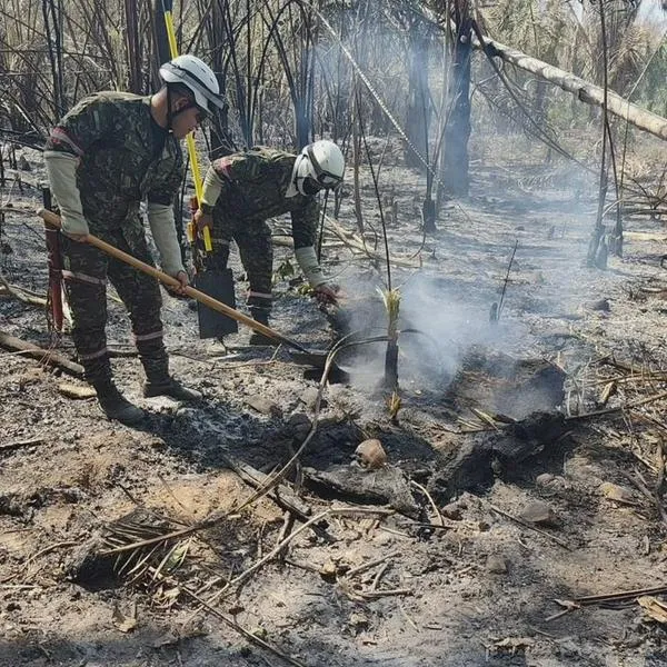 Cesar, entre las zonas más afectadas por incendios en Colombia: piden helicóptero para combatir las llamas
