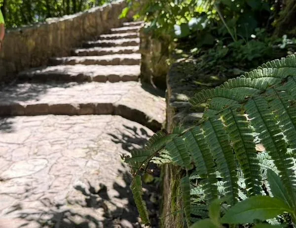 Haz ejercicio al aire libre en el puente festivo: sube por el sendero de Monserrate este domingo 16 y lunes 17 de agosto 