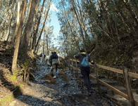 Así puedes ingresar a los senderos de los Cerros Orientales de Bogotá y conocer su biodiversidad 
