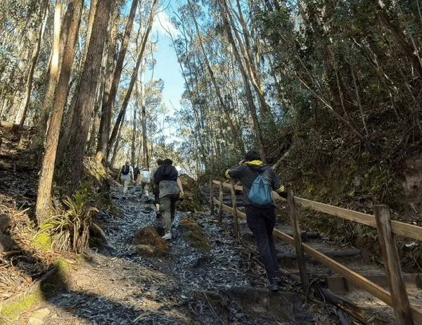 Así puedes ingresar a los senderos de los Cerros Orientales de Bogotá y conocer su biodiversidad 