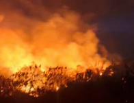 Congresistas piden refuerzo para controlar los múltiples incendios en Tolima y Cesar