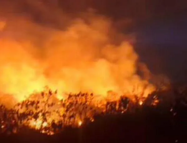 Congresistas piden refuerzo para controlar los múltiples incendios en Tolima y Cesar