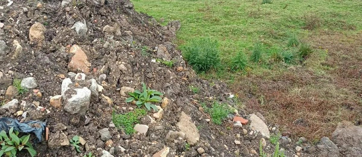 Diligencia frena disposición irregular de escombros y residuos peligrosos en la vía Suba–Cota en Bogotá