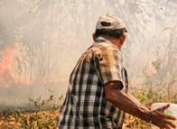 Anuncian alivios para campesinos afectados por incendios en Tolima