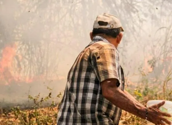 Anuncian alivios para campesinos afectados por incendios en Tolima