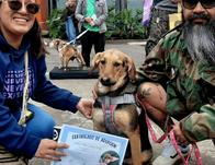 Bogotá le cumplió a los animales adoptando 105 perros y gatos en Expopet 2026 