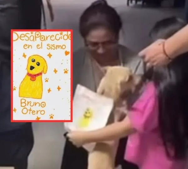 Niña perdió a su perro durante el terremoto y salió a buscarlo con un dibujo