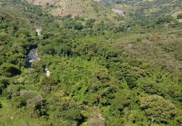 MinAmbiente revoca resolución que declaró reserva natural 1.499 hectáreas en Santurbán