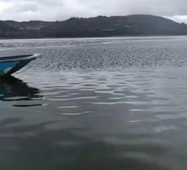 Hallan sin vida a mujer desaparecida en el embalse de Tominé tras tres días de búsqueda