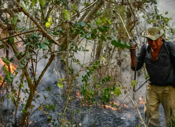 Incendios forestales en Tolima: ya son 16 activos