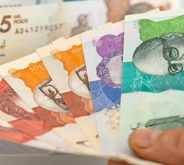 Banco de la República cerraría 2026 con tasa estable en 12%: Encuesta Fedesarrollo