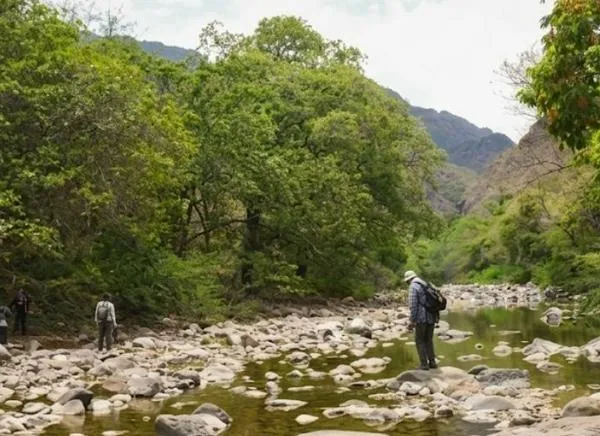 Municipio del Tolima podría quedarse sin agua: ¿Qué está pasando?